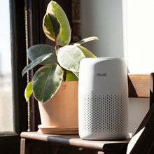 Load image into Gallery viewer, LEVOIT Core Mini Air Purifier
