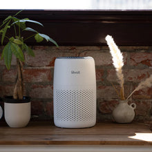 Load image into Gallery viewer, LEVOIT Core Mini Air Purifier
