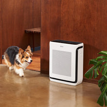 Load image into Gallery viewer, LEVOIT Vital 200s Smart Air Purifier
